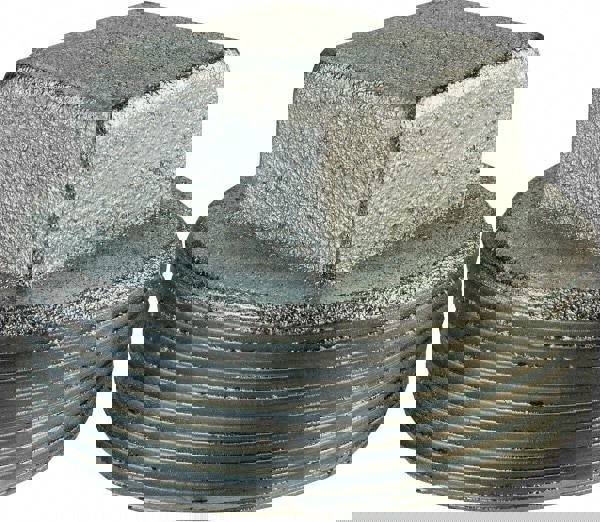 Conduit Plug: For Rigid & Intermediate (IMC), Cast Iron, 2